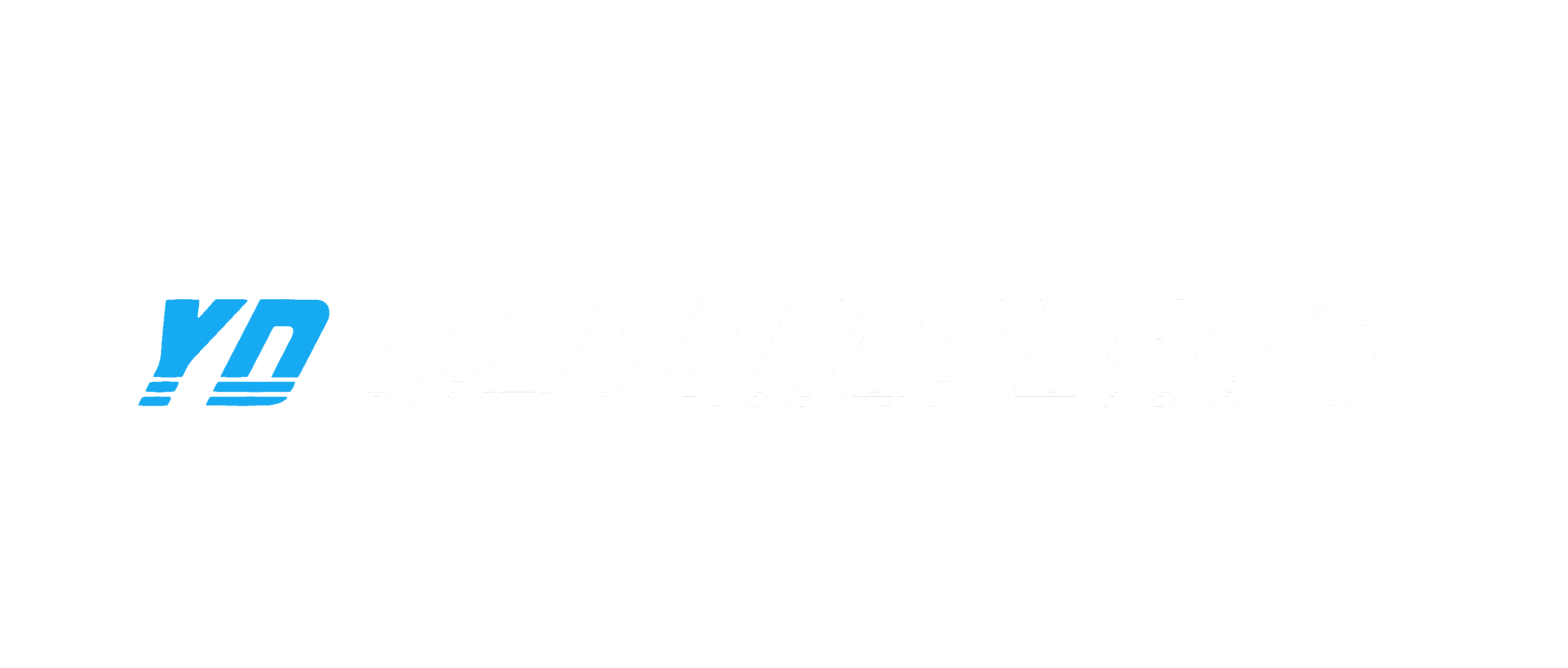 YD MOTORSPORTS