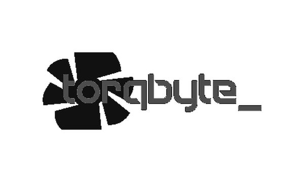 Torqbyte